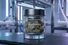 Hydroponic Cannabis – Insomnia Focus